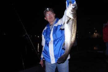 シーマジカル 釣果