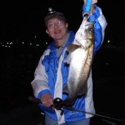 シーマジカル 釣果