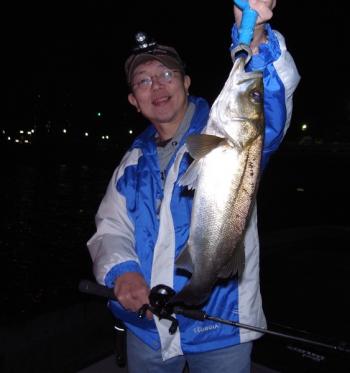 シーマジカル 釣果