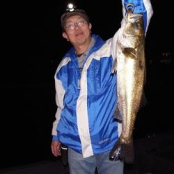 シーマジカル 釣果