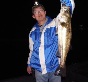 シーマジカル 釣果