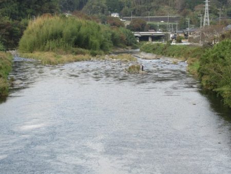 狩野川(狩野川漁業協同組合) 釣果