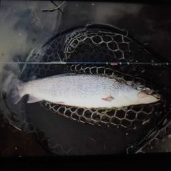 高萩ふれあいの里フィッシングエリア 釣果