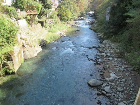 狩野川(狩野川漁業協同組合) 釣果