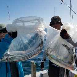遊漁船　ニライカナイ 釣果
