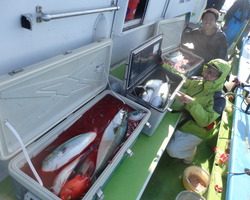 久里浜黒川本家 釣果