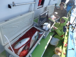 久里浜黒川本家 釣果