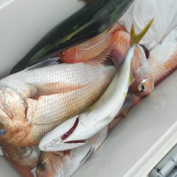 こうゆう丸 釣果