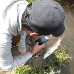 高萩ふれあいの里フィッシングエリア 釣果