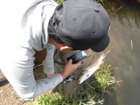 高萩ふれあいの里フィッシングエリア 釣果