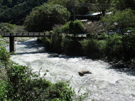 狩野川(狩野川漁業協同組合) 釣果