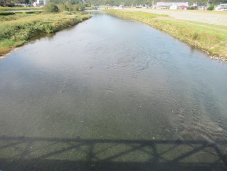 狩野川(狩野川漁業協同組合) 釣果