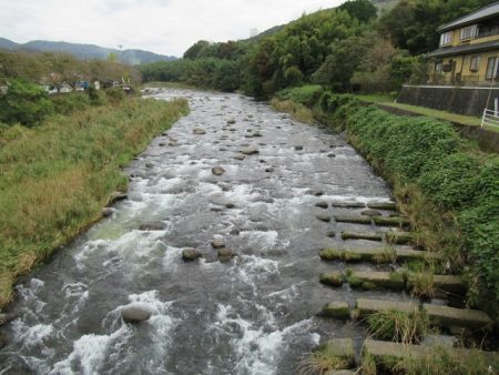 狩野川(狩野川漁業協同組合) 釣果