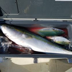 遊漁船 ニライカナイ 釣果