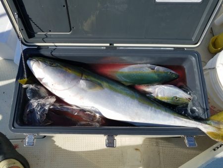 遊漁船 ニライカナイ 釣果