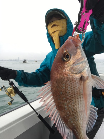 ミタチ丸 釣果