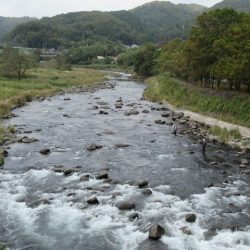 狩野川(狩野川漁業協同組合) 釣果