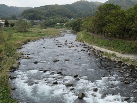 狩野川(狩野川漁業協同組合) 釣果