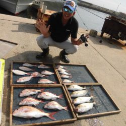 大進丸（愛知） 釣果