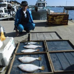 大進丸（愛知） 釣果