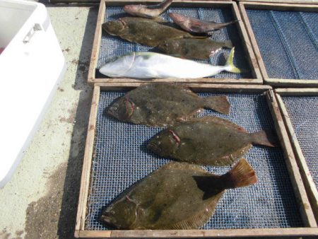 大進丸（愛知） 釣果