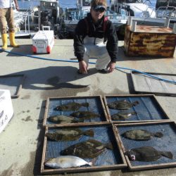 大進丸（愛知） 釣果