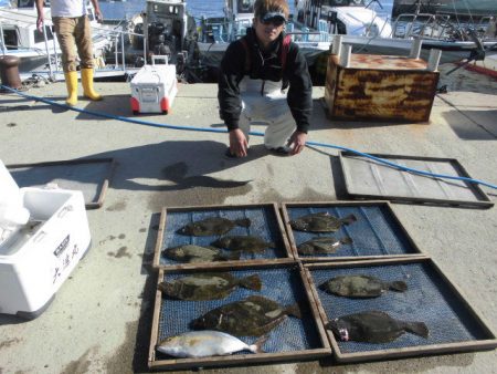 大進丸（愛知） 釣果