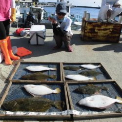 大進丸（愛知） 釣果