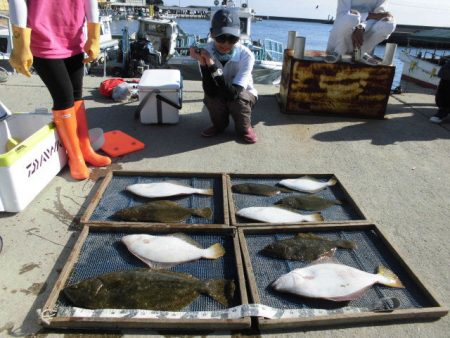 大進丸（愛知） 釣果
