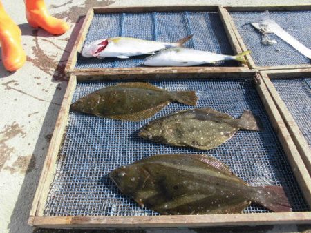 大進丸（愛知） 釣果