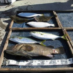 大進丸（愛知） 釣果