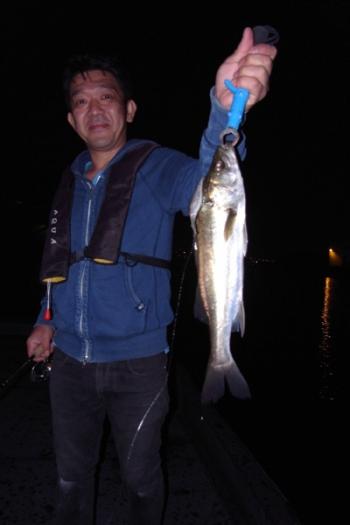 シーマジカル 釣果