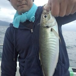 泰丸 釣果