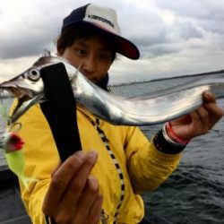 シーマジカル 釣果