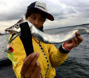 シーマジカル 釣果