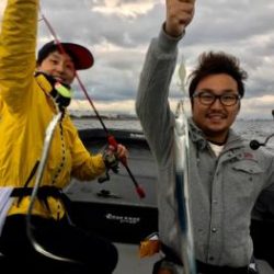 シーマジカル 釣果