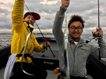 シーマジカル 釣果