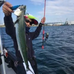 シーマジカル 釣果