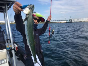 シーマジカル 釣果