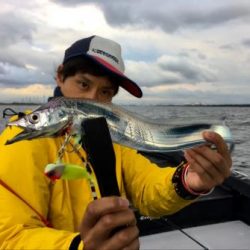 シーマジカル 釣果