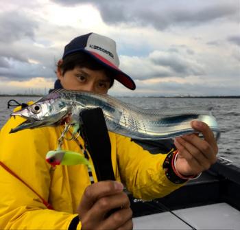 シーマジカル 釣果