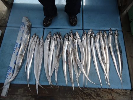 十八宝洋丸 釣果