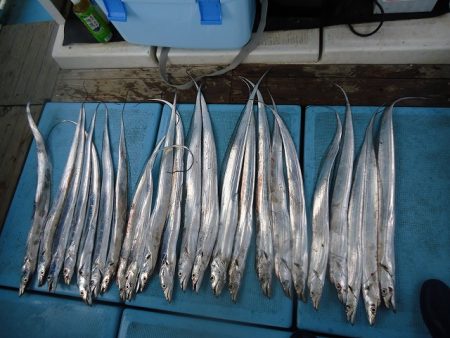 十八宝洋丸 釣果