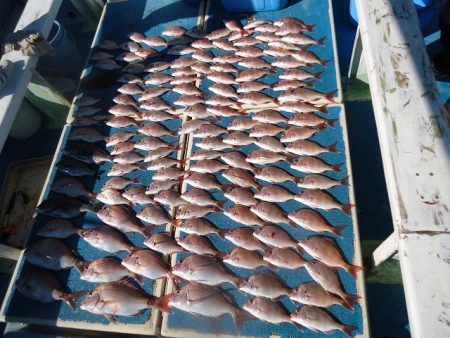 十八宝洋丸 釣果