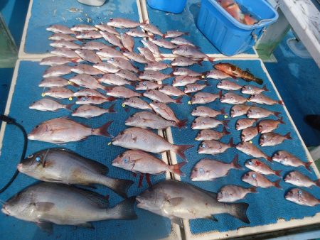 十八宝洋丸 釣果