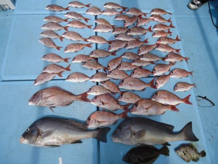 十八宝洋丸 釣果