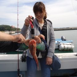 十八宝洋丸 釣果