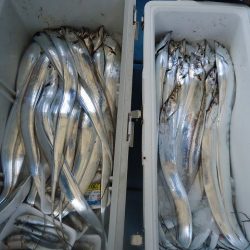 十八宝洋丸 釣果