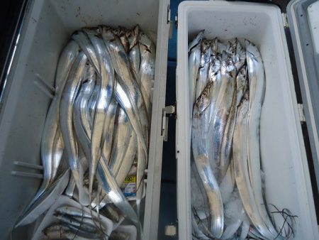 十八宝洋丸 釣果