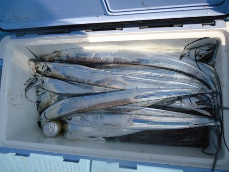 十八宝洋丸 釣果